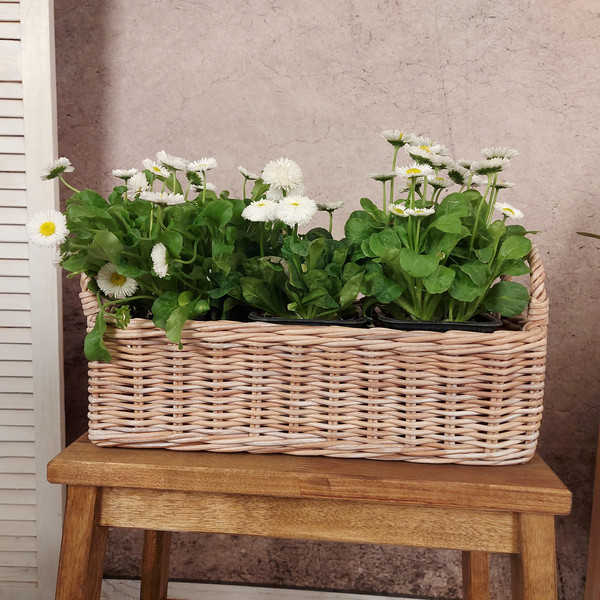Wicker flower basket