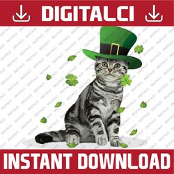Saint Patrick's Day Cat St. Patrick's Day Cat PNG Sublimation Designs