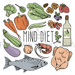 mind diet healthy nutrition brain vector illustration set