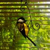 stained-glass-titmouse-1.jpeg