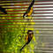 stained-glass-titmouse.jpeg
