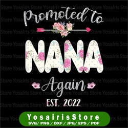 promoted to nana again 2022 png, mother's day baby announcement png, nana again est 2022 png