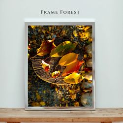 Beautiful Autumn Photo Frame With Glass Size 12 x 12 Inches for Home, Office And Livingroom Wall