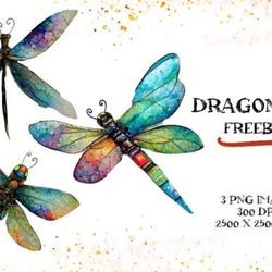 watercolor dragonflies - freebee graphicsprintable illustrations