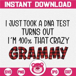 I Just Took A DNA Test Turn Out I'm 100 That Crazy Grammy Png, Mother's Day,Love Buffalo Plaid - INSTANT DOWNLOAD - Png