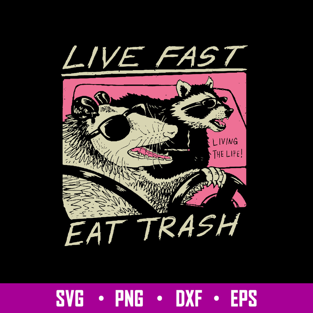 Live Fast Eat Trash Svg, Thrash Panda Svg, Funny Animal Svg, Png Dxf Eps File.jpg