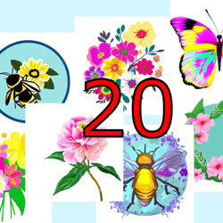 scrapbooking card set, pocket card - flower mix-2