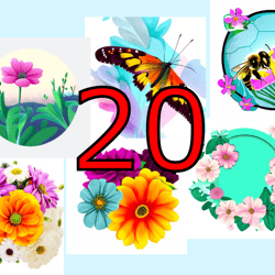 scrapbooking card set, pocket card - flower mix-20