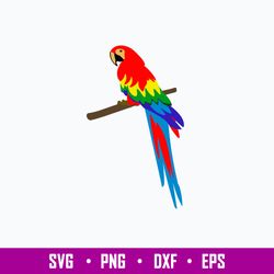 Parrot Colorful Svg, Png Dxf Eps File