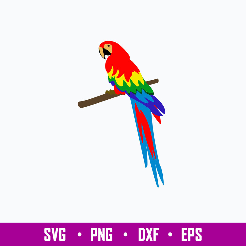 Parrot Colorful Svg, Png Dxf Eps File.jpg
