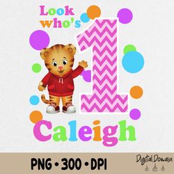 daniel tiger birthday png, printable tiger birthday party png, digital png, editable with canva, instant digital downloa