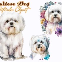 Maltese Dog Watercolor Clipart