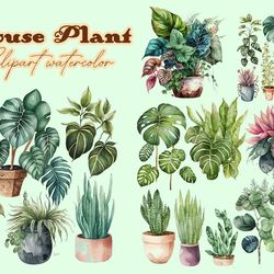 House Plant Clipart Watercolor