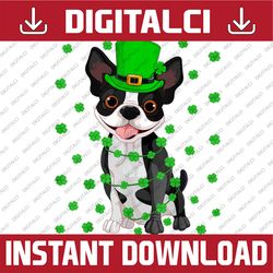Funny Leprechaun Hat Boston Terrier Dog St. Patrick's Day PNG Sublimation Designs