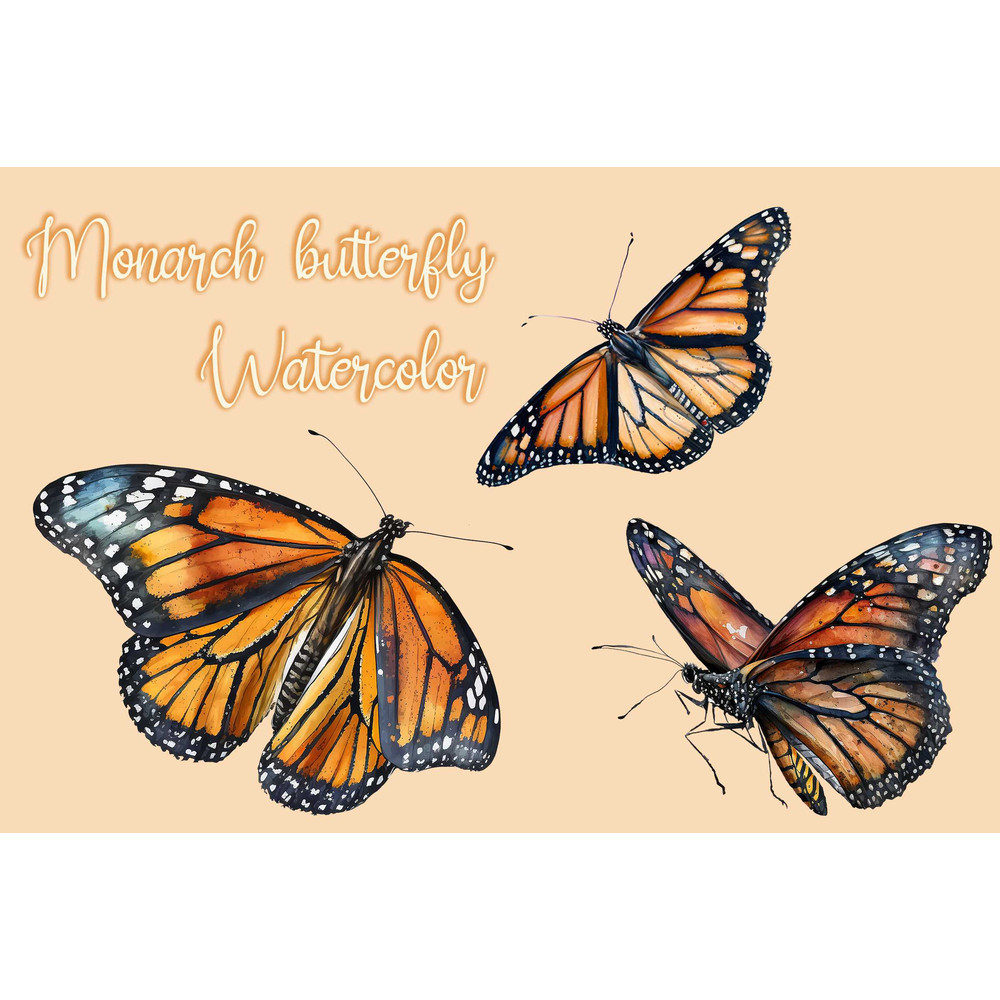 MR-latoria-terrill-cad140323060-1732023163211.jpeg