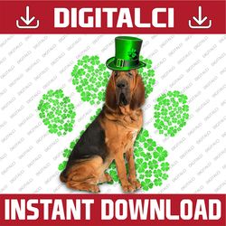 Bloodhound Shamrock Paw Clovers St Patrick's Day PNG Sublimation Designs