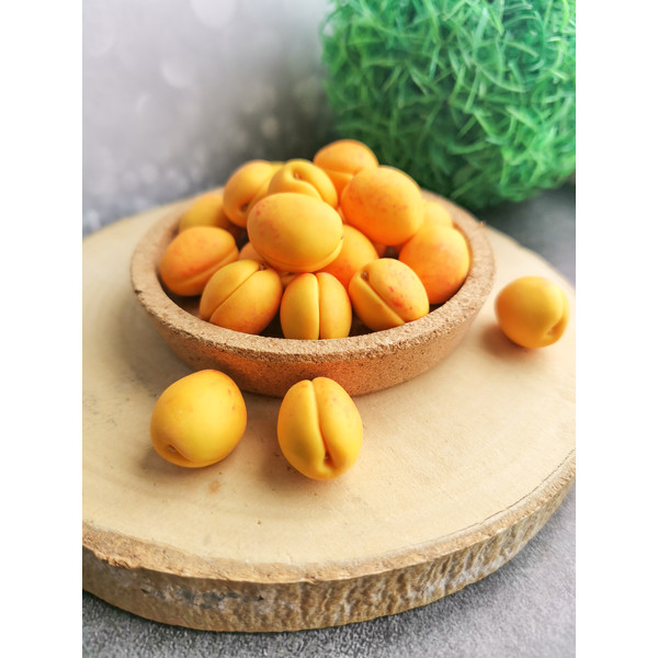 miniature apricot.jpg