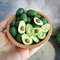 miniature avocado.jpg