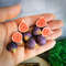 miniature figs.jpg