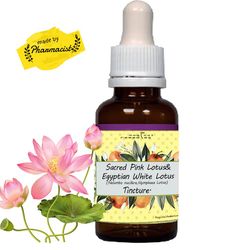 Sacred Pink Lotus and Egyptian White Lotus Flower Herbal Tincture Blend.Meditation aid, yogic practices, creativity, dee