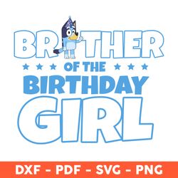 Brother Of The Birthday Girl Svg, Brother Bluey Svg, Happy Birthday Svg, Bluey Party Svg - Download File