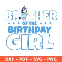 brother of the birthday girl svg, brother bluey svg, happy birthday svg, bluey party svg - download file