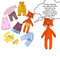 Patterns of a Fox Doll and a set of clothes for her. Bundle offer  / Easy to follow photo instructions