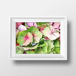 Watercolor picture with hortense, Watercolor digital file, Art print from the original painting, Poster with flowers