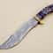 Unique Handmade Damascus Steel Hunting Bowie Knife with Resin and Brass Handle - Great Gift for Him (1).jpg