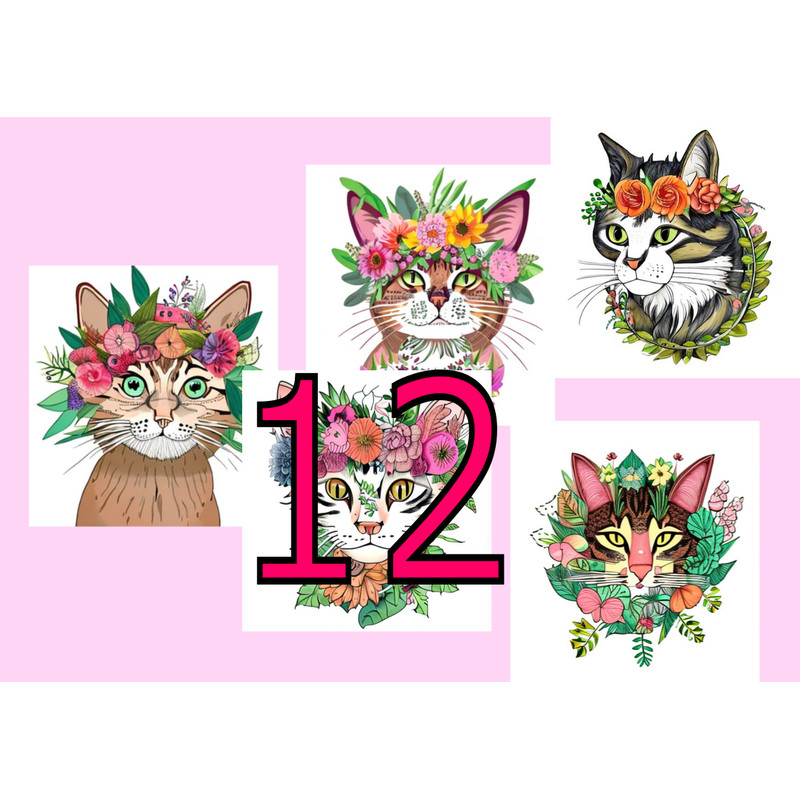 я1.png
