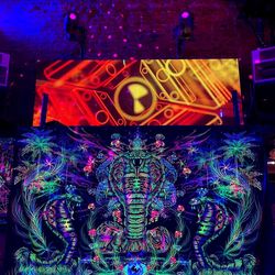 trippy poster "royal cobra" blacklight tapestry wall art uv active fluorescent gobelin psychedelic backdrop
