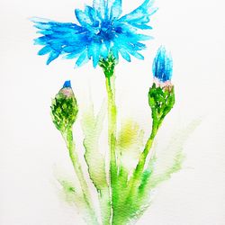 Chicory Flowers PRINT - digital file that you will download