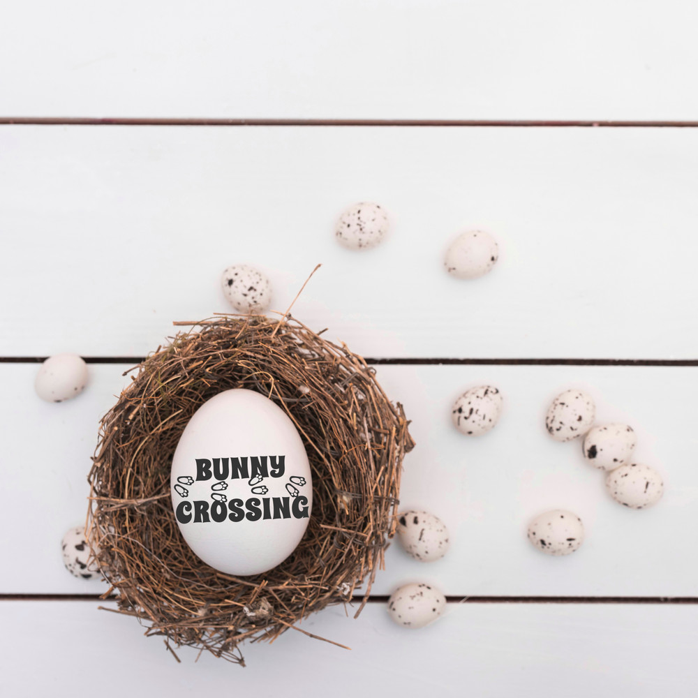 Без названия1226_20230318202716.png