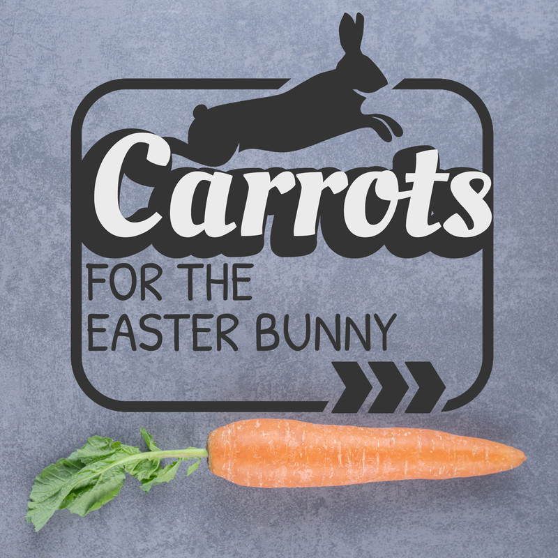 Без названия1228_20230319133122.png