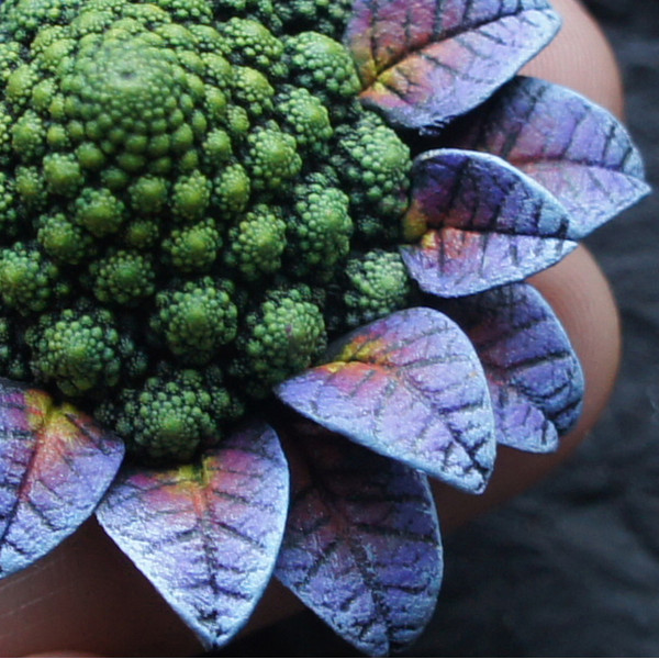 psychedelic-broccoli-fractal-flower