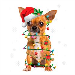 Cute Chihuahua Wearing Santa Red Hat PNG Sublimation Designs