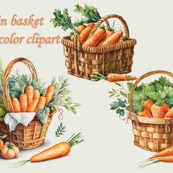 carrot in basket watercolor clipart