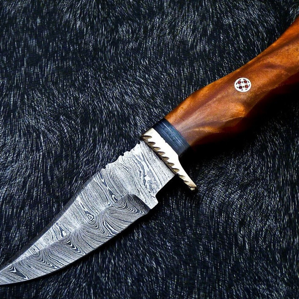 10 Inch Hand Forged Damascus Blade Bowie Hunting Knife, Full - Inspire  Uplift