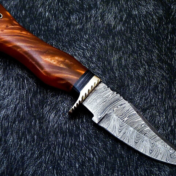 10 Inch Hand Forged Damascus Blade Bowie Hunting Knife near me in nyc.jpg