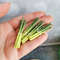 miniature asparagus.jpg