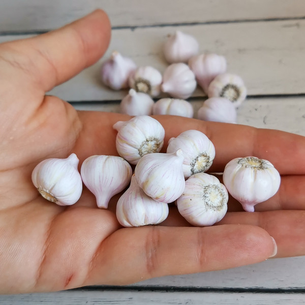 miniature garlic.jpg