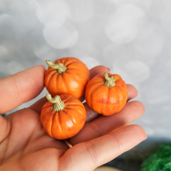 miniature pumpkin.jpg