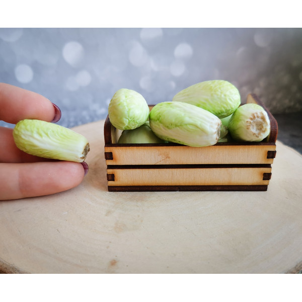 miniature cabbage.jpg