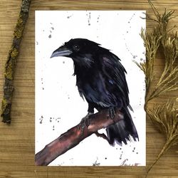 Bird raven painting, watercolor paintings, handmade home art bird watercolor crow painting by Anne Gorywine