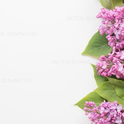 Lilac Photography, Lilac Background, Spring Background, Lilac Flat Lay Mockup, Background, Flat Lay Mockup, JPG, Mockup