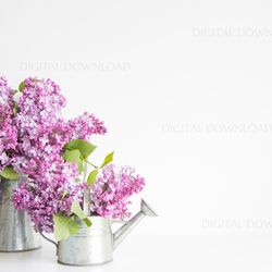 Flowers Background, Lilac Background, Spring Background, Flowers Mockup, Flowers Background, Flower Mockup, Photo Lilac