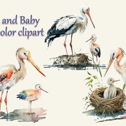 stork and baby watercolor clipart