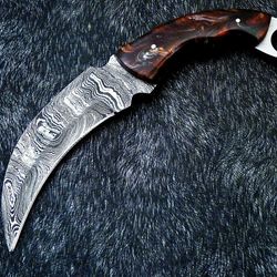 Hand Forged Karambit Knife, Karambit Hunting Knife Full Tang Damascus Full Handmade