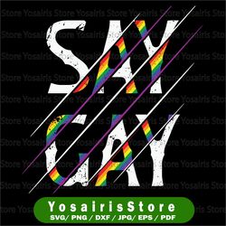 florida it's ok to say gay png,gay rights png,human rights png,equality png