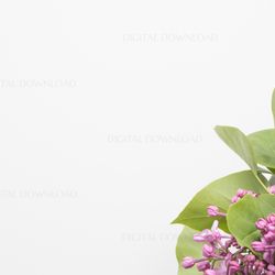 lilac digital background, lilac flowers background, flowers background, lilac flat lay mockup, lilac photo, lilac mockup